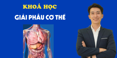 Khoá Học Giải Phẫu Cơ Thể